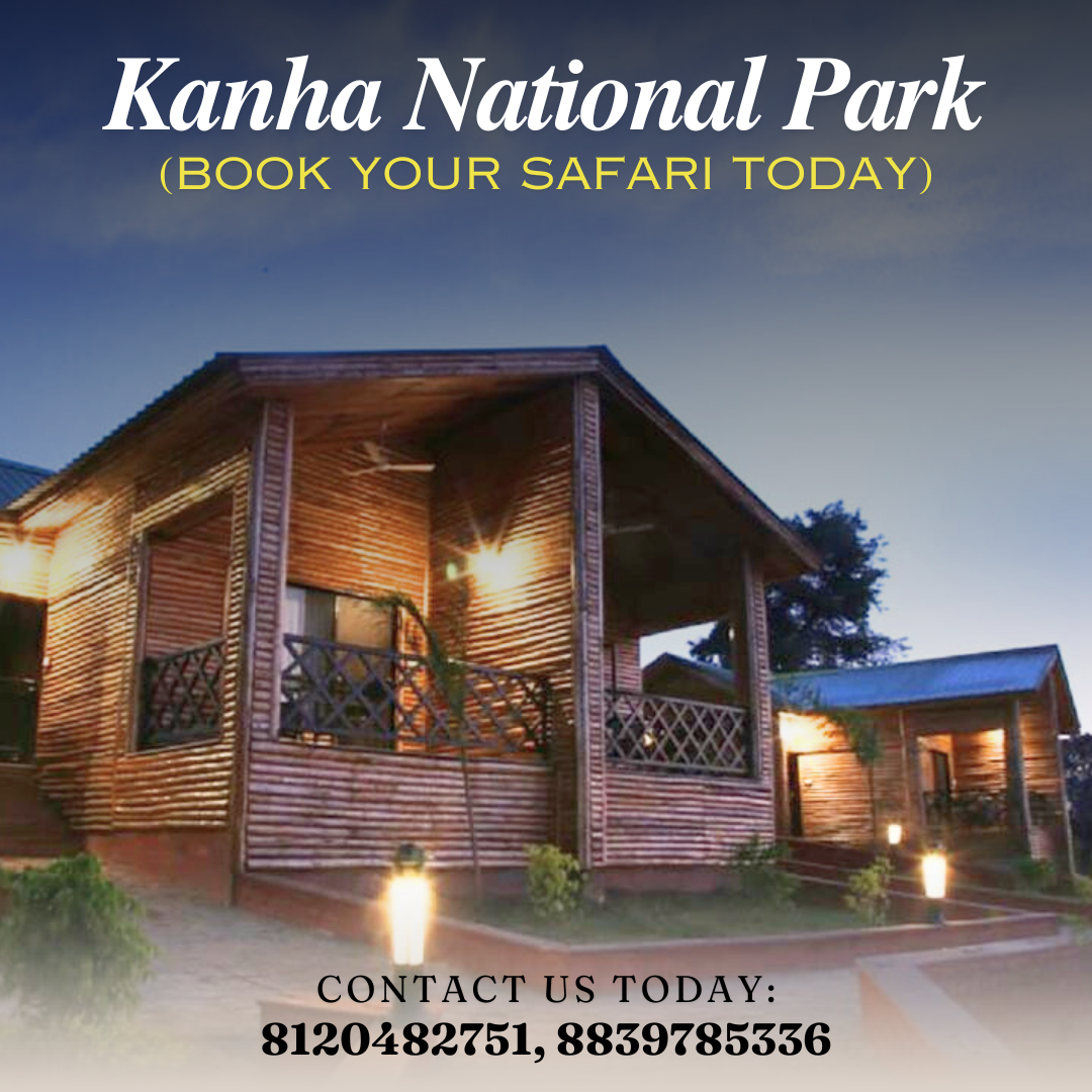 3_20241202_153245_0002